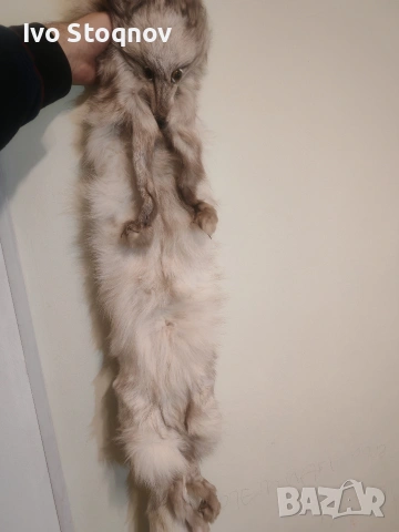 яка от сребърна лисица, снимка 2 - Шалове - 54114619