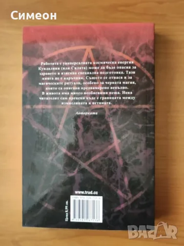 Черната котка - Никол Данева, снимка 3 - Художествена литература - 55315838