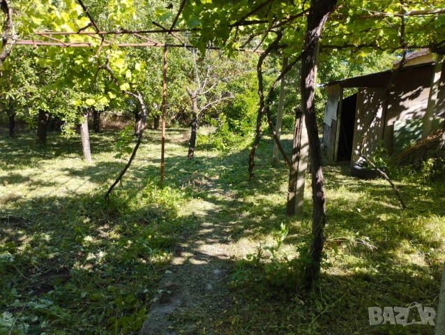 Къща с. Ласкар , снимка 2 - Къщи - 54986195