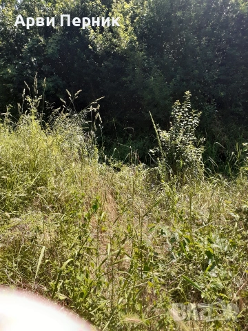 Продава къща гр.Перник,кв.Църква, снимка 4 - Къщи - 55146251