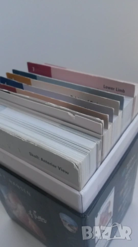 Флаш карти по анатомия Netter's Anatomy Flash Cards - 5th edition, снимка 6 - Учебници, учебни тетрадки - 54084473