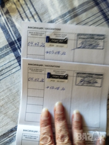Подарявам котета , снимка 3 - Други - 55144285