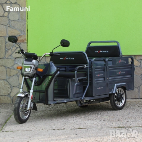 Електрическа товарна триколка GoPro 2000W Сива