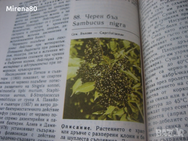 Природна аптека, снимка 5 - Здраве, медицина и спорт - 55193742