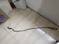 Кучешки повод 50 см, снимка 3