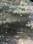 Естествен зелен берил 13.30 ct – голям фасетиран скъпоценен камък, снимка 7
