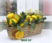 Лимони и маслини в ратанова кашпа, снимка 3