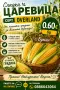 🌽Сладка Царевица OVERLAND 🌽, снимка 1