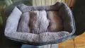 Кучешко легалце НОВО, снимка 2