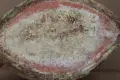 Троянска кана с.Шипково , снимка 10