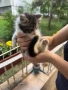 Подаряват се късметлийчета, снимка 3