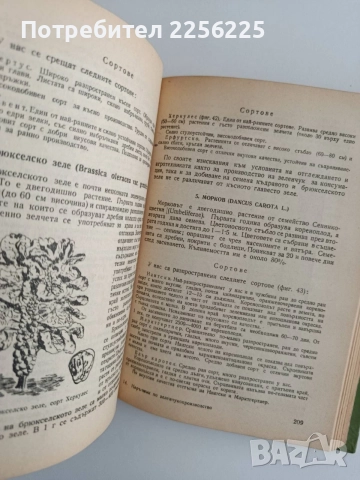 Наръчник по зеленчукопроизводство, снимка 2 - Специализирана литература - 54914905