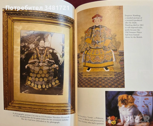 Empress Dowager Cixi. The Concubine Who Launched Modern China, снимка 12 - Биографии, мемоари и спомени - 55065653