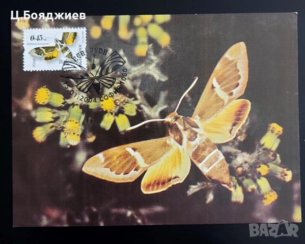 Карти-максимум, Пчели, българия, снимка 3 - Филателия - 55221570