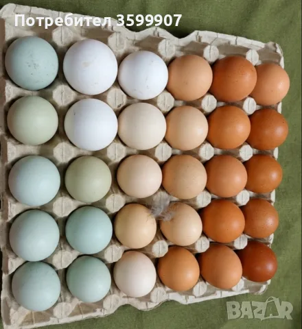 🥚 Домашни селски яйца за консумация.