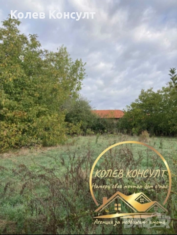 Къща село Оризово, снимка 7 - Къщи - 54136488