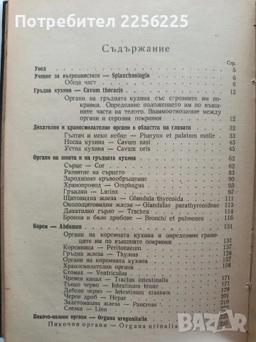 Анатомия на човека - сърце и вътрешни органи/ артерии, вени и лимфни съдове, снимка 6 - Специализирана литература - 54439820