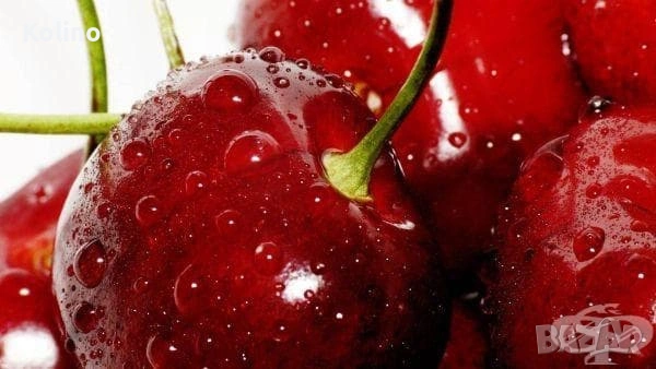 Сироп от ВИШНИ КОНЦЕНТРАТ 