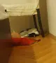 Прекрасна маца преживя много - търсим нов дом, снимка 11