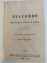 Анатомия на двигателния апарат на човека ( 1 и 2 част), снимка 1