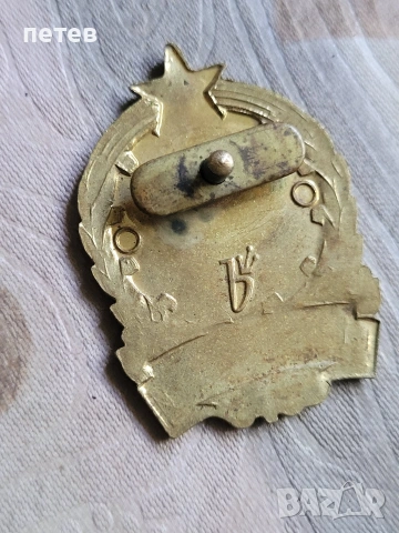 значка. нагръден знак. медал. орден., снимка 5 - Антикварни и старинни предмети - 54720409
