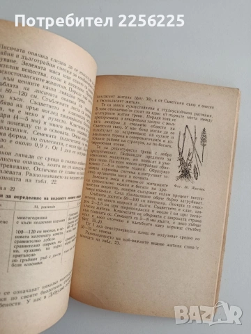 Семепроизводство на многогодишните бобови и житни треви, снимка 2 - Специализирана литература - 55124523