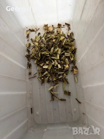 Валцова самопридьрпваща дробилка 2800W, снимка 9 - Градинска техника - 54004068