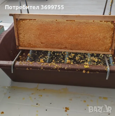 Пчелен мед 2026г, снимка 2 - Пчелни продукти - 55482750
