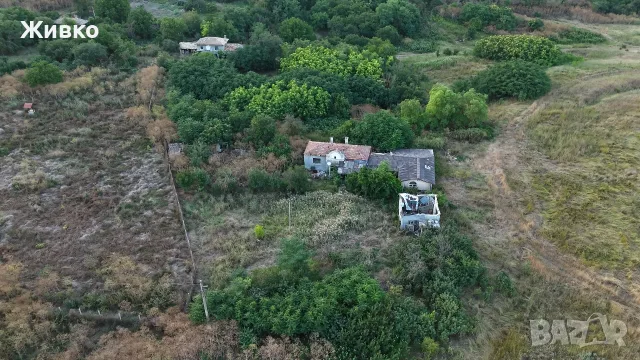 Голям имот в село Щипско, област Варна , снимка 10 - Къщи - 52637656