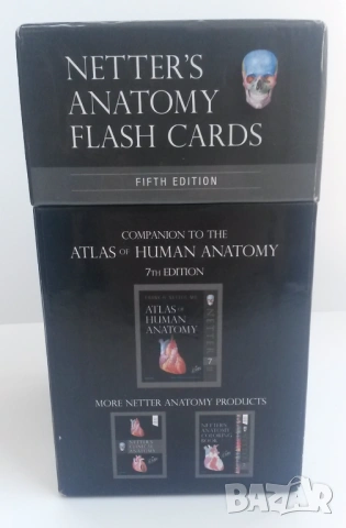Флаш карти по анатомия Netter's Anatomy Flash Cards - 5th edition, снимка 3 - Учебници, учебни тетрадки - 54084473