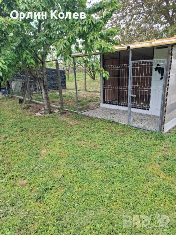 Пансион за кучета , снимка 5 - Немска овчарка - 35158908