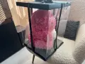 Мече от рози InLove 40 см с кутия, чисто ново, подарък, снимка 11