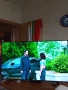 Телевизор TCL QLED 43P7K, снимка 2