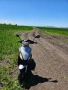 Rex Moto Rs 400 /Топ състояние/, снимка 15