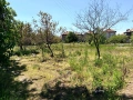 Продава ПАРЦЕЛ , гр.Видин, Промишлена зона СЕВЕР 12500 кв. м., снимка 4