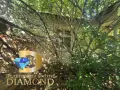 Едноетажна къща в село Долно Ботево, общ. Стамболово, снимка 4