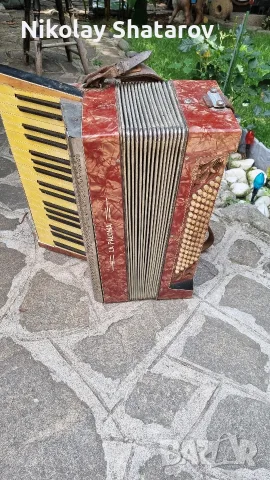 голям рядък акордеон 