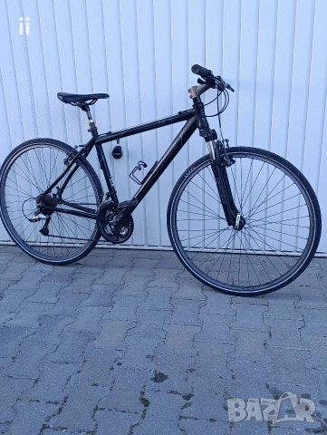 Bergamot 28 цола 