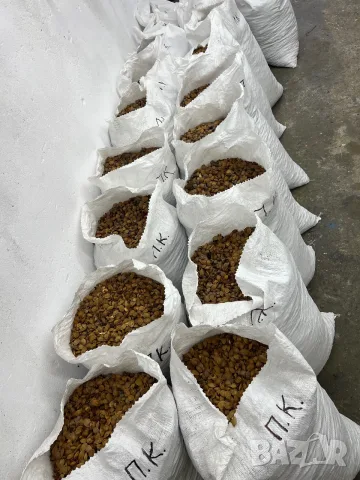 🍑 СУХИ КАЙСИЕВИ КОСТИЛКИ 🍑  