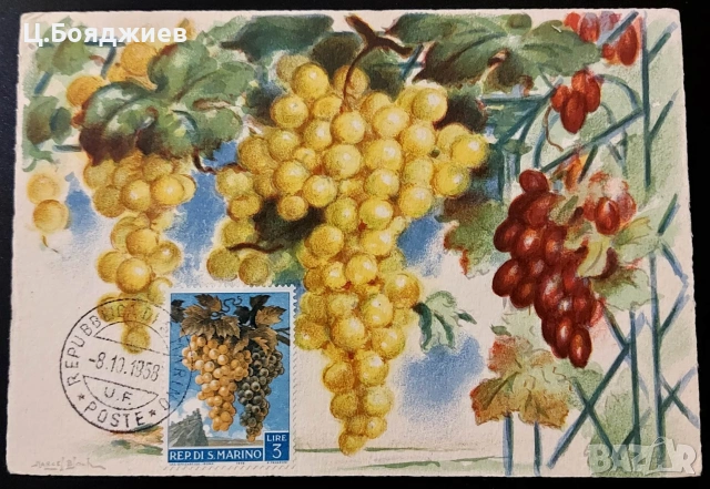 Карти-максимум, Италия, снимка 2 - Филателия - 55221637