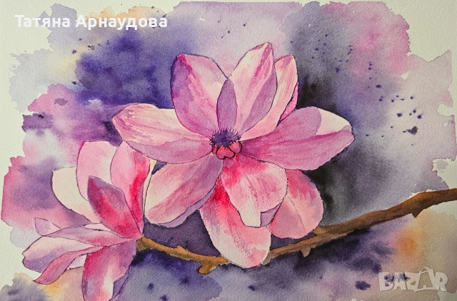 Розова магнолия. Акварел. 