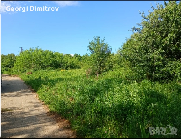 Продавам имот вз Зелин Сливите 810 кв.м 50€ кв.м