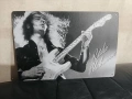 Ritchie Blackmore-метална табела(плакет), снимка 1