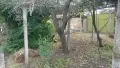 продава се къща в с . Кесарево , снимка 10