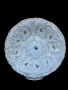 Фруктиера Meissen, снимка 1