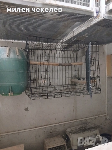 клетка развъдна за жако,амазона, снимка 6 - За птици - 54723986