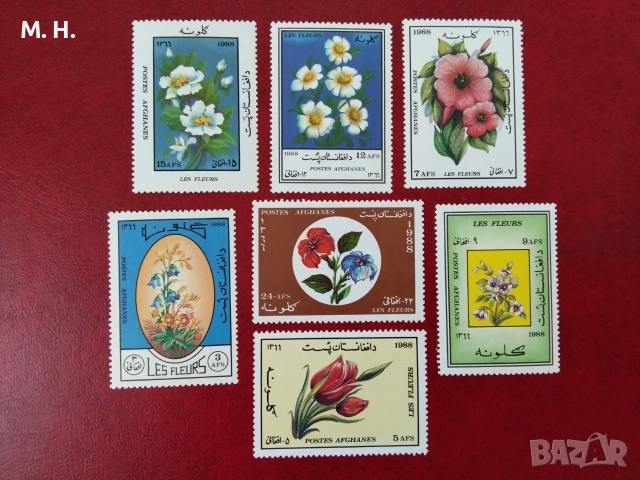 Сомалия 1988 год.