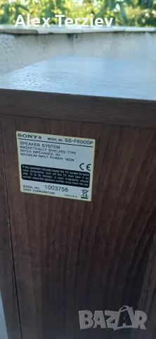 тонколони sony SS f6000 p, снимка 11 - Тонколони - 55682597