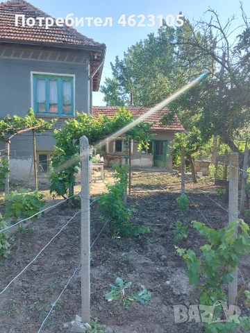 Къща с дворно място и лозе, снимка 3 - Къщи - 54962625