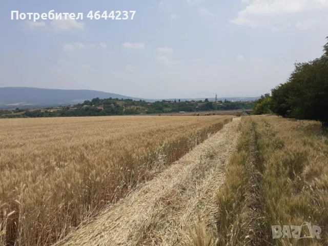 ПРОДАВА Земеделска земя, гр. Монтана, Кошарник, снимка 3 - Парцели - 55402224